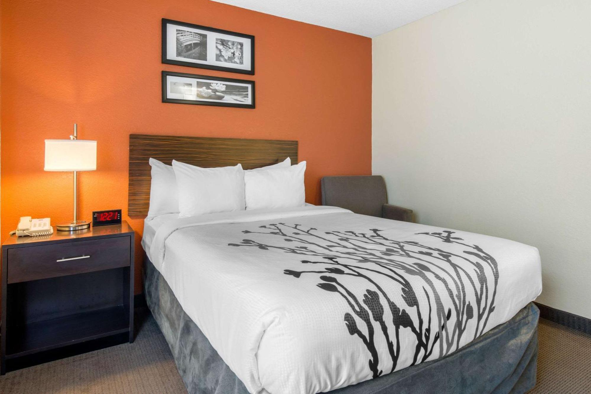 Sleep Inn Sarasota North Exterior foto